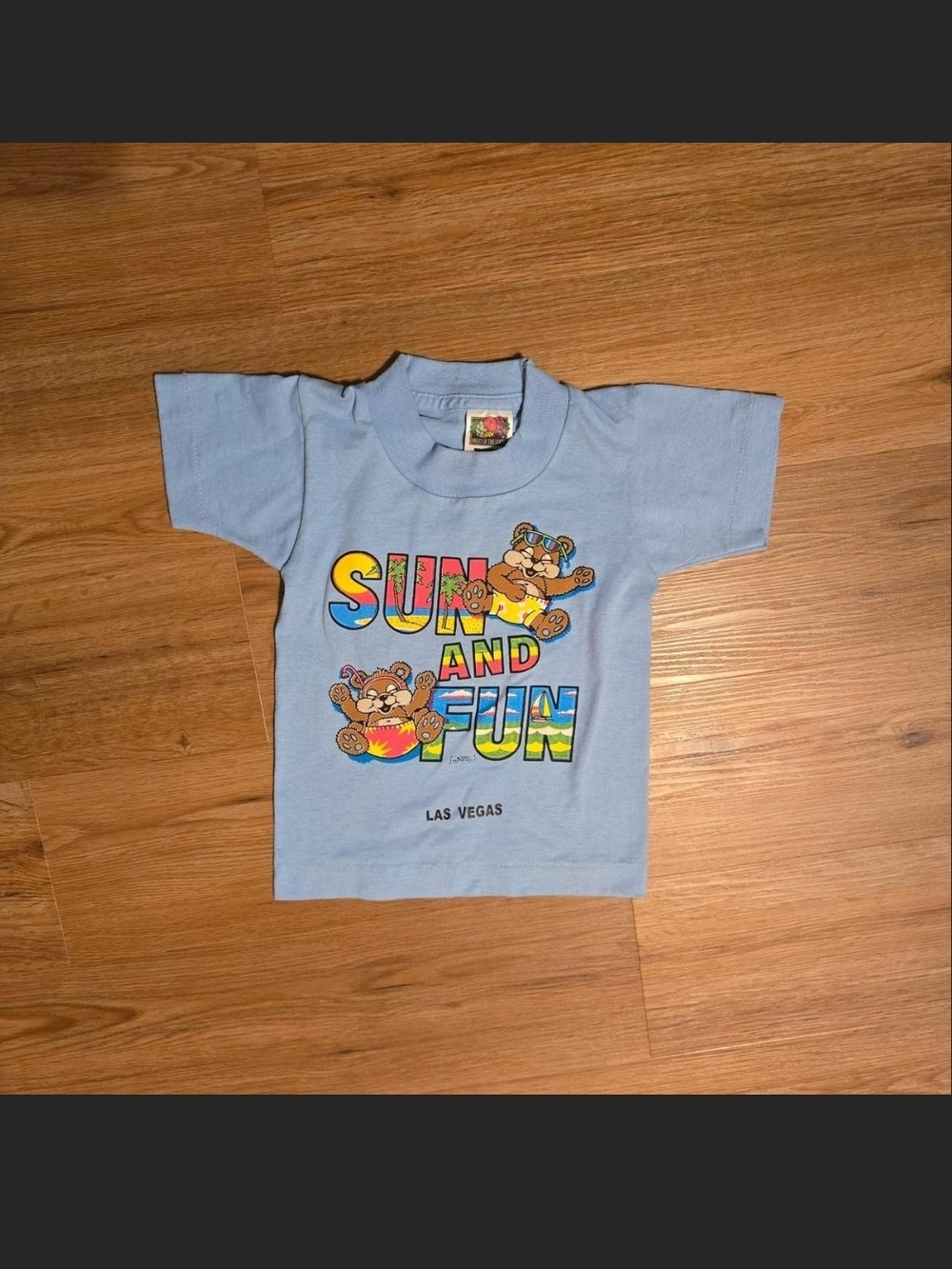 Fruit of the Loom Light Blue Kids T-Shirt with Colorful 'Sun and Fun' Graphic